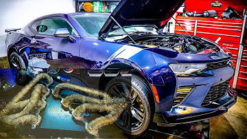 Hooker BlackHeart Headers DEI Wrap!!