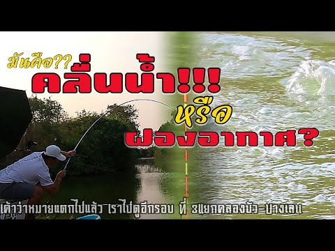 ข่าวสารล่าสุดเกี่ยวกับเพลง