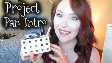 - Project 10 Pan Intro - 2017