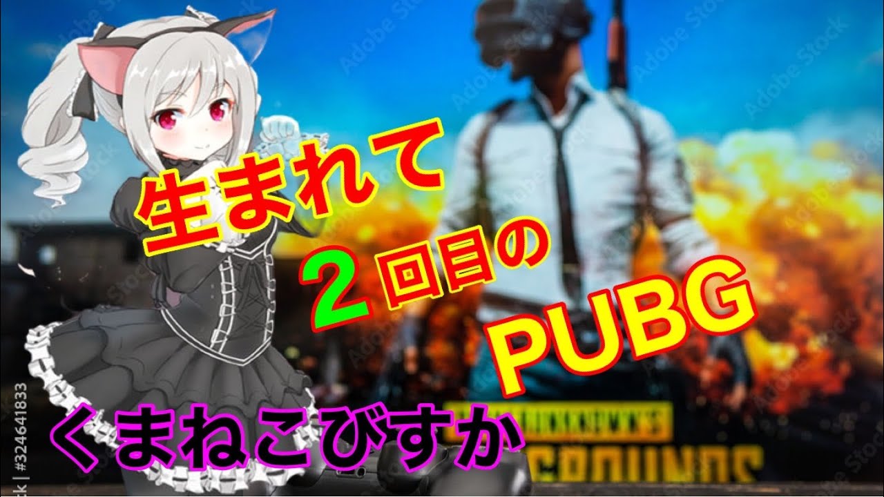 Ps4 Pubg びすか 生まれて２回目のpubg Youtube