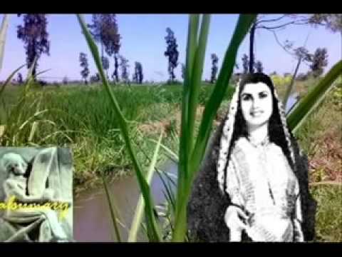 سهام رفقي شارياك انا شارياك تحياتي ابوعامرياسرالحر
