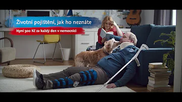 Jaká je průměrná cena životního pojištění v Česku?