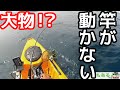 #2　カヤックからルアーを落としたらまさかの大物が・・・！？