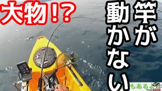 #2　カヤックからルアーを落としたらまさかの大物が・・・！？