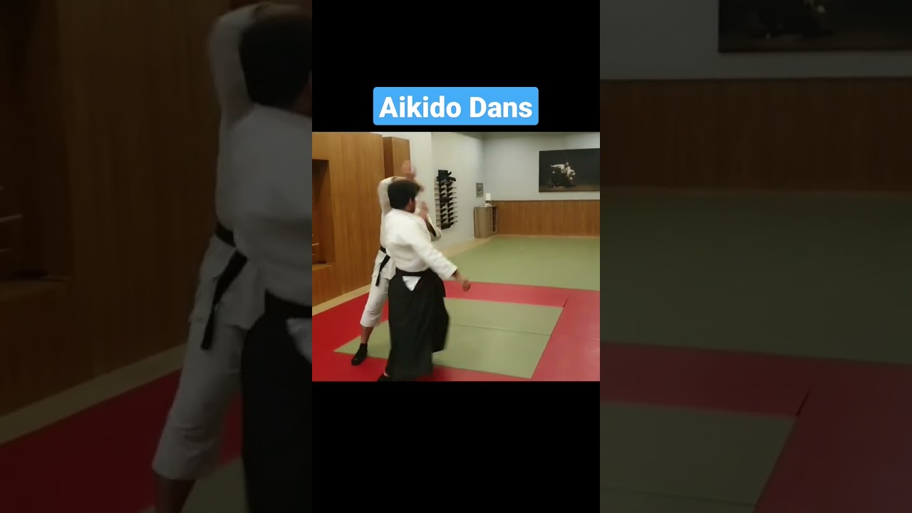 Aikido Dans!  Aikido dance 