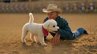 Epic Dog Rescue at Rodeo – Animated Tale!