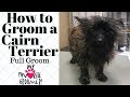 How To Groom a Cairn Terrier の動画、YouTube動画。