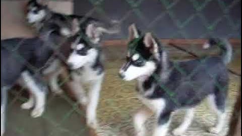 2007.11.11 Ула & co