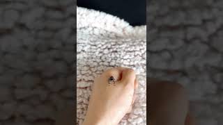 Bean, After her 4th molt