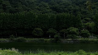 [Playlist] 시골, 초록빛 피톤치드에 둘러싸여 듣기 좋은 노래들🌿💚 | 행복한 설 연휴 되세요🧧