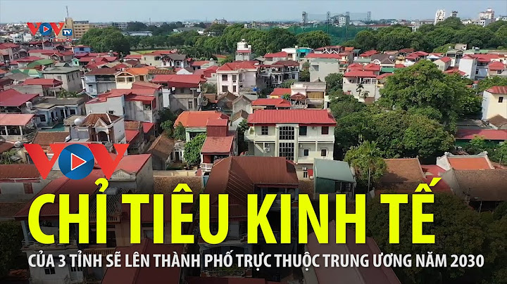 Tỉnh bình dđịnh là tỉnh trực thuộc trung ương năm 2024