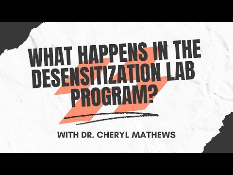 What happens in the Desensitization Laboratory (LAB) program?