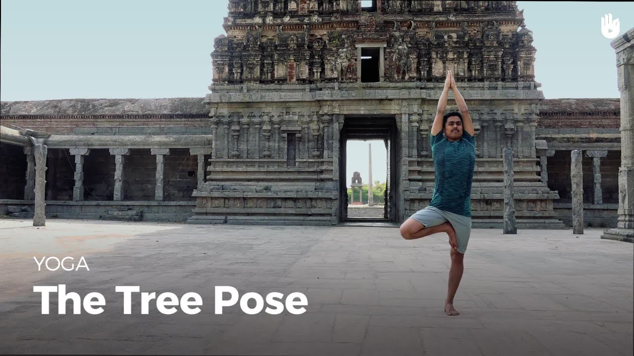 Learn the Tree Pose - Vrikshasana