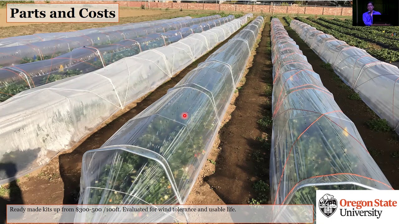 Low Tunnels in Strawberry Production, Javier Fernandez-Salvador- WA Fresh Market Strawberry Workshop