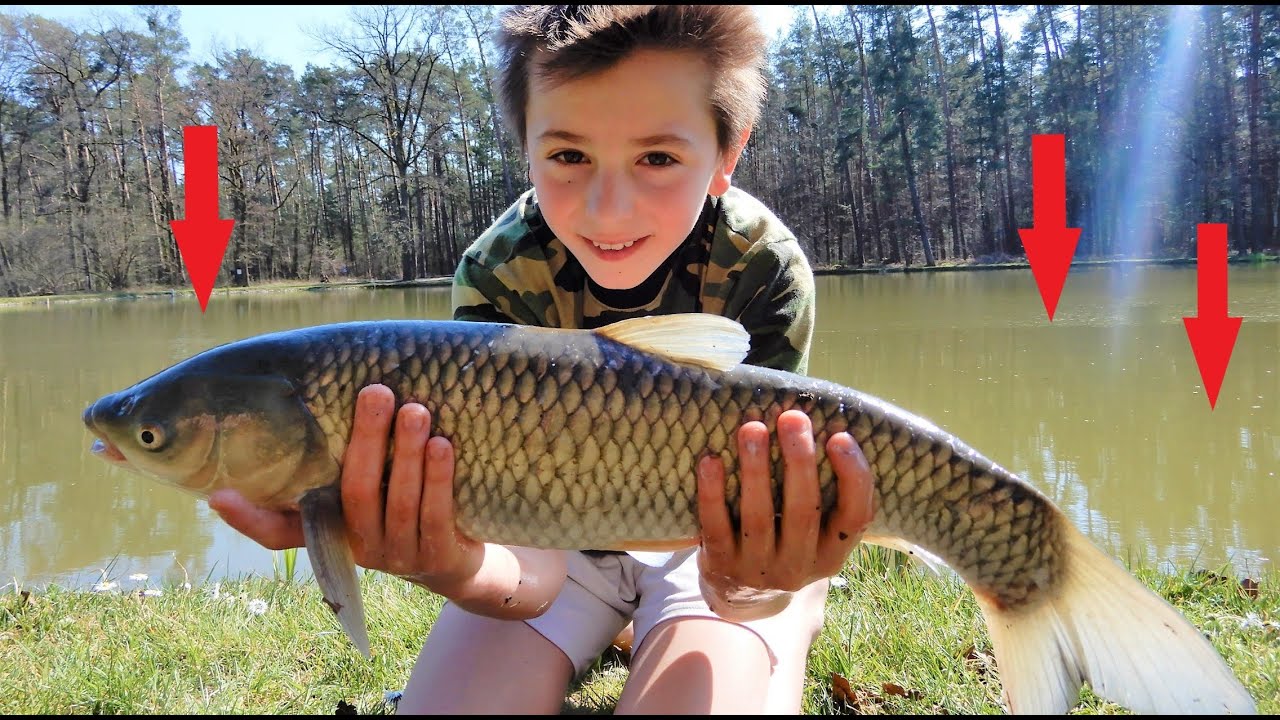 Überall Karpfen! mit der Familie am Karpfenteich