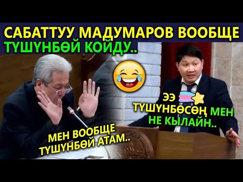 Video: Ким күчтүү - карышкырбы же сүлөөсүнбү? Сүлөөсүн жана карышкырлар тууралуу кызыктуу маалыматтар