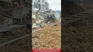Retaining Wall Collapse Due to Inadequate Foundation