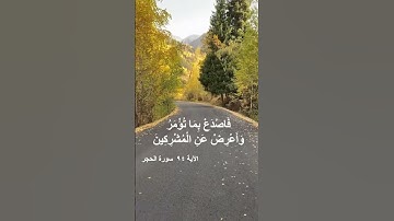 فَوَرَبِّكَ لَنَسْأَلَنَّهُمْ أَجْمَعِينَ  #الذكر_الحكيم #اكسبلور #المصحف #تيك_توك #viral #تلاوات