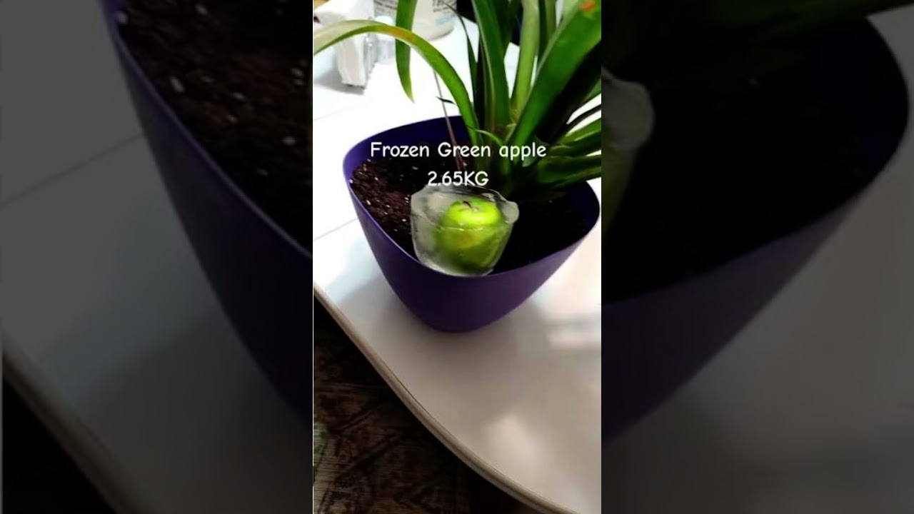 The worlds best giveaway😂 