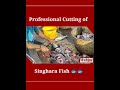 Singhara Fish Cutting Method | Khagga or Singhara (Cat Fish) | Sea Food | Wahjoc Food