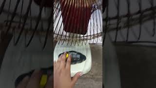 Fan | Kipas Angin Meledak !!Part.1 #fan#ventilador#ventilateur#kipasangin#lucu#comedy#trending