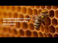 Produits de la ruche  forever miel  bee honey bee propolis bee pollen  royal jelly