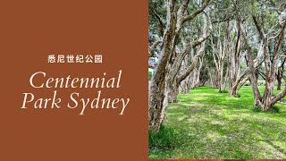 Centennial Park Sydney 悉尼世纪公园