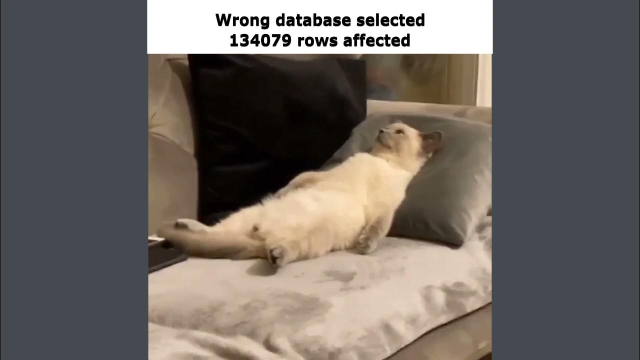 Wrong database selected 134079 rows affected youtube