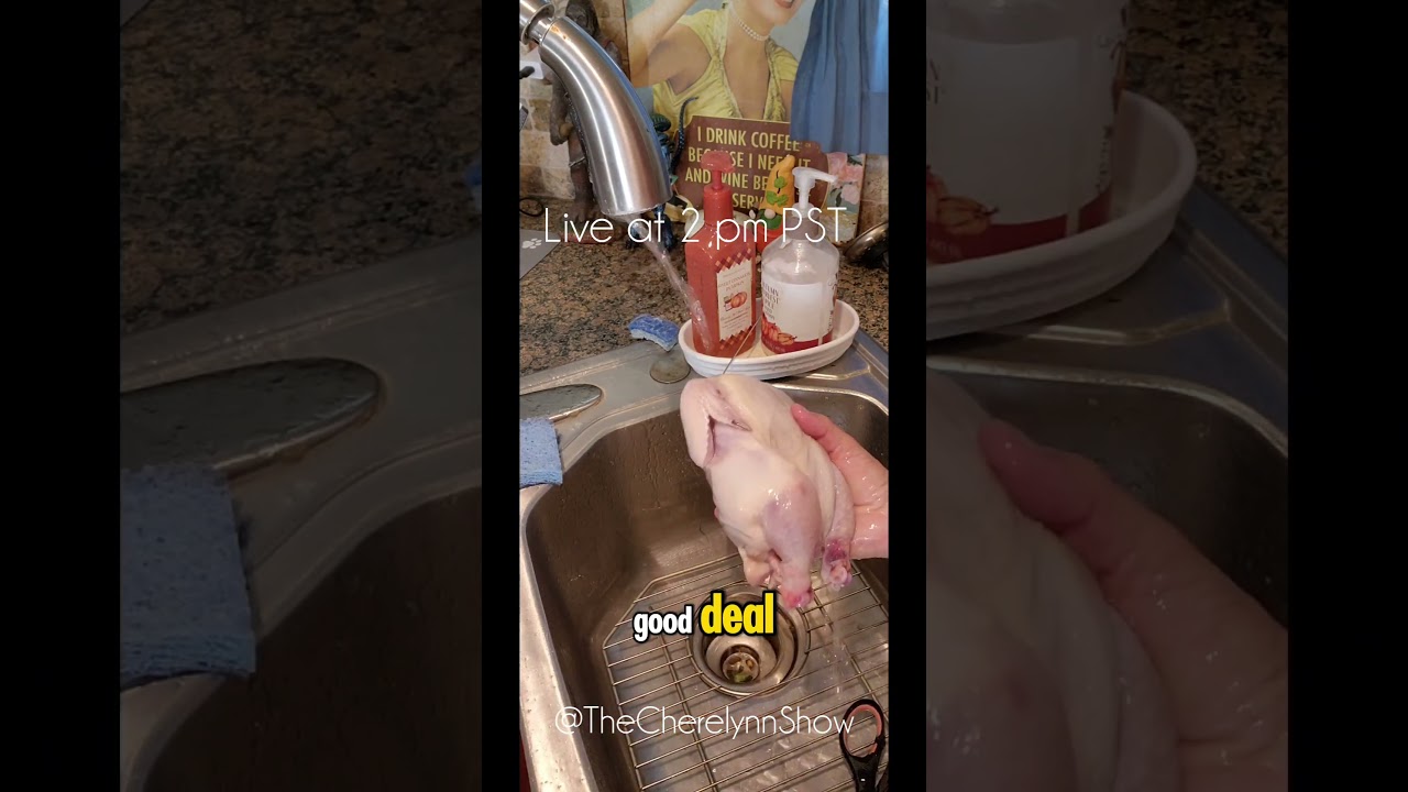 Welcome to Westeros LIVE at 2 pm | Preparing  the Game Birds for  Today's Show