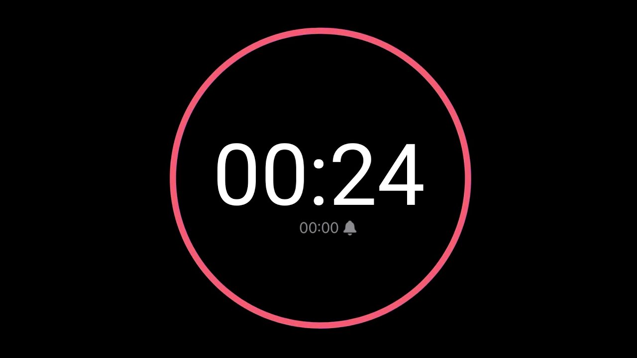 24 Second Countdown Timer  iPhone Timer Style