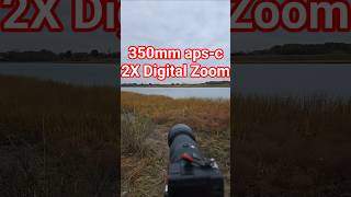 Sony 70-350mm ZOOM TEST 350mm + 2X Digital Zoom (Sony a7C2 crop mode, a7iv* FX2*) #cameratest #nyc