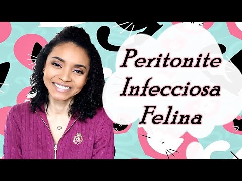 Vídeo: Peritonite Infecciosa Felina (FIP) Em Gatos - Tratamento Para FIP Em Gatos