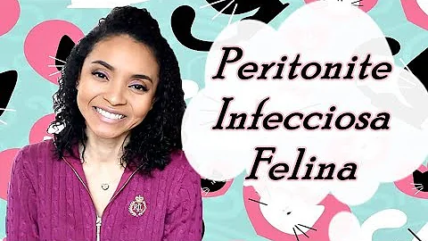 O que é PIF em gatos sintomas?