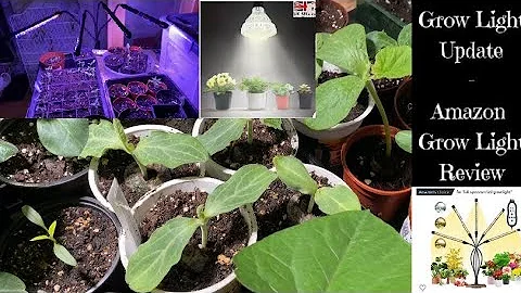 Amazon cheap grow lights review update