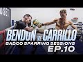 Nico carrillo vs nathan bendon  badco sparring sessions  ep10