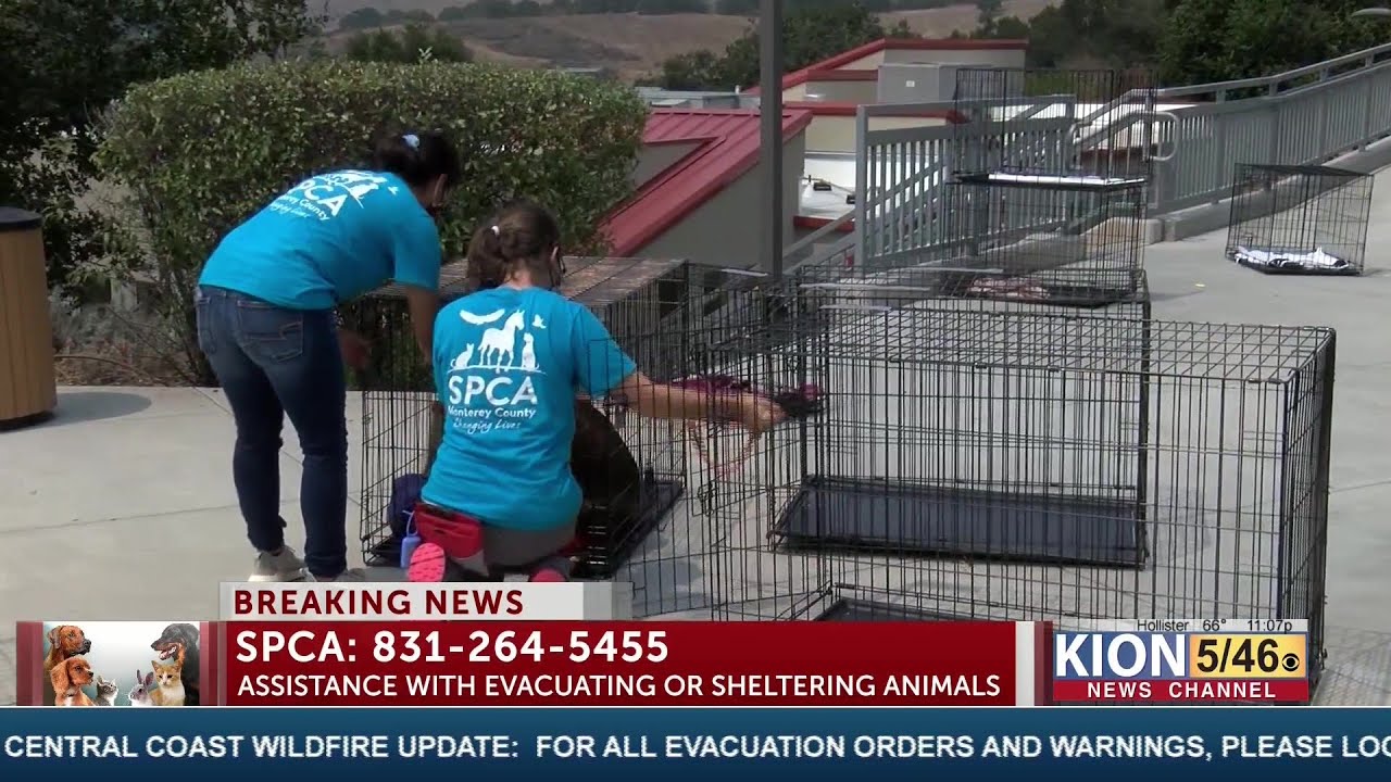 central coast spca