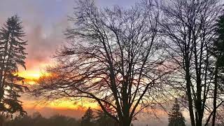 Christmas Lights and Sunset 11.12.2021