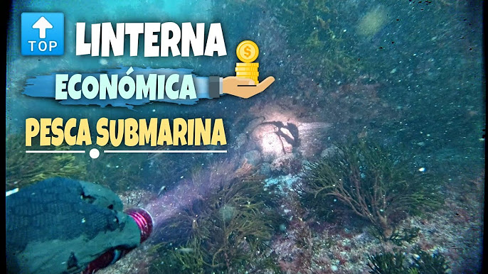 Material de pesca submarina 