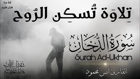 صدقني !! ⬅️ صوت يقتل حزن قلبك 💝 تلاوة تلامس القلوب || سورة الدخان - كاملة القارئ أنس محمود 😍