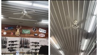 52-In White Harbor Breeze/Hunter/Dayton Ceiling Fans At Hardware Store.