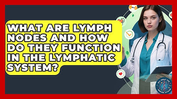 What Are Lymph Nodes and How Do They Function in the Lymphatic System?