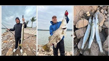 Khám phá điểm câu mới, đối mặt toàn hàng khủng và buổi câu thu hoạch