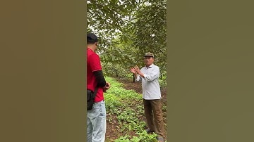 Bộ sản phẩm giúp lên cơm nặng ký, tăng 10% trọng lượng cho bà con | Nông Nghiệp Tây Nguyên TKA