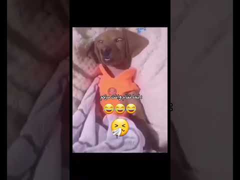 اذا نمت وانت مزكم فيديو ترند مقاطع لايك شاهد اضحك انفلونزا مرض صحة وناسه اكسبلور جديد ا