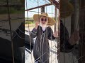 فلوك حمام العليل اكسبلور Like Explore فلوك حمام العليل اكسبلور Like Explore