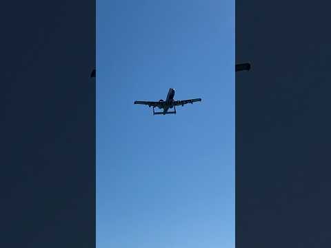 A10 Warthogs flying