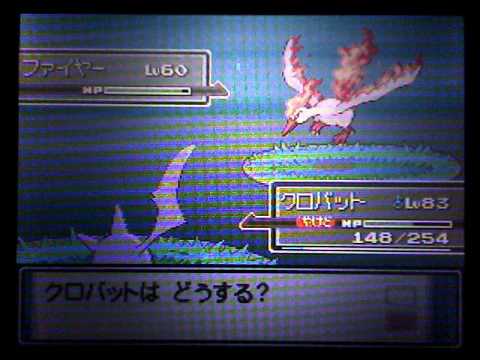 ポケモンプラチナ 光るフャイヤー Pokemon Platinum Shiny Moltres Youtube