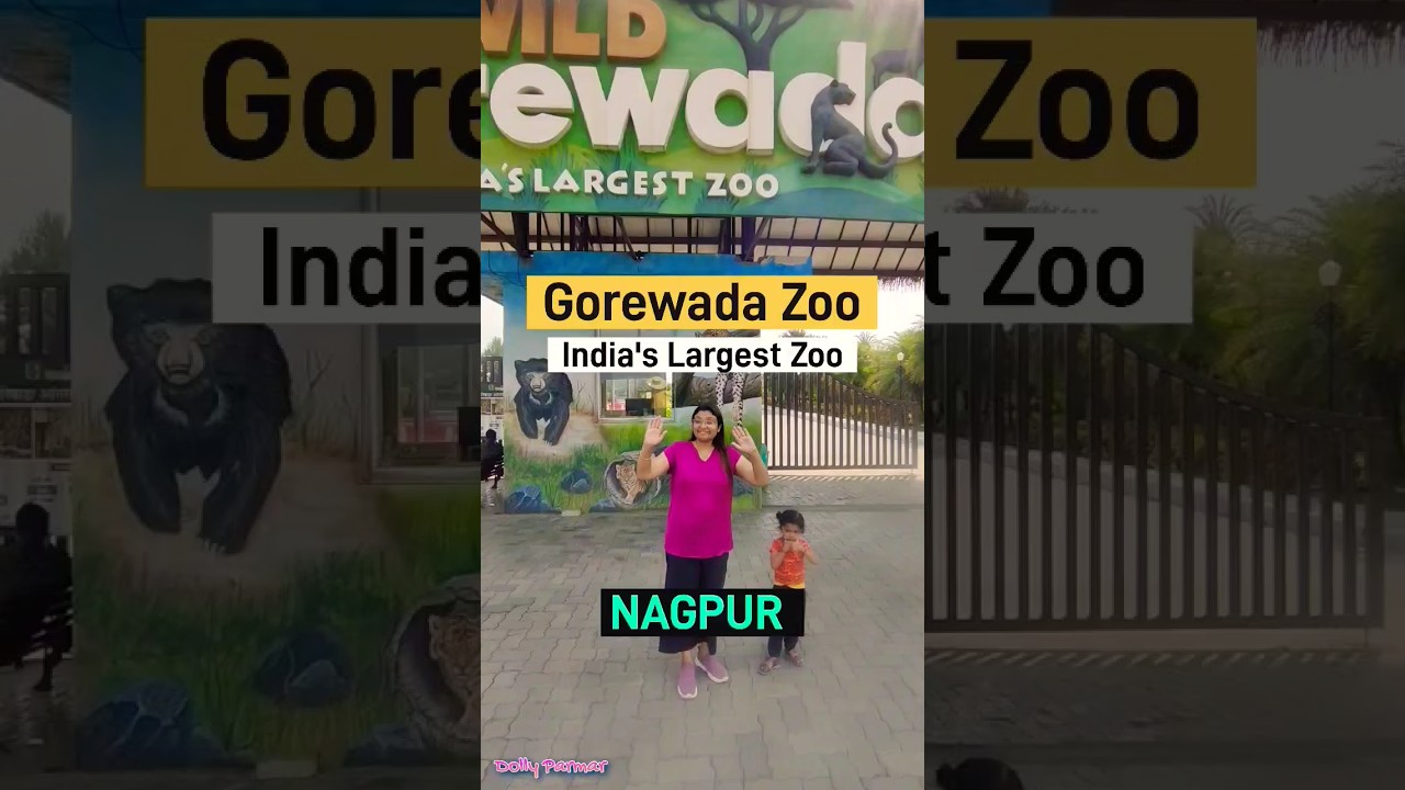 Gorewada Zoo Nagpur || INDIA's Largest zoo in Nagpur || @dollyparmar6462
