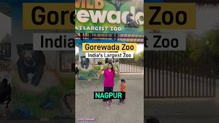 Gorewada Zoo Nagpur| Indias Largest Zoo In Nagpur|