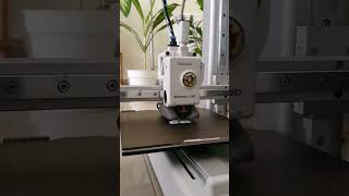 We 3D printed our Dog! boy was this fun! #3dprinting #bambulaba1mini #bambulab #3dprinter